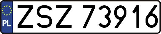 ZSZ73916