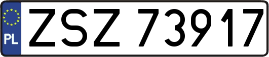 ZSZ73917