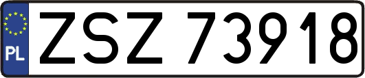 ZSZ73918