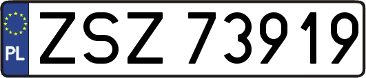 ZSZ73919