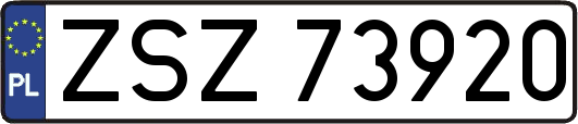 ZSZ73920