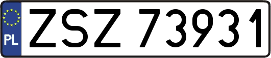 ZSZ73931