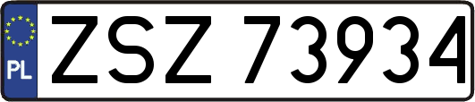 ZSZ73934