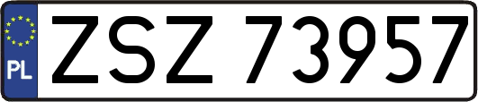 ZSZ73957