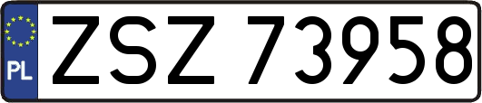 ZSZ73958