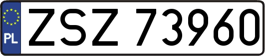 ZSZ73960