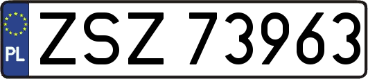 ZSZ73963