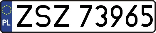 ZSZ73965