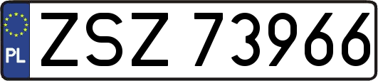 ZSZ73966