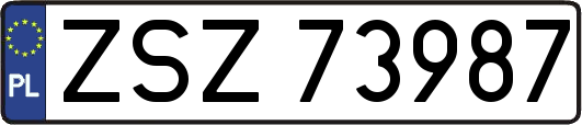 ZSZ73987