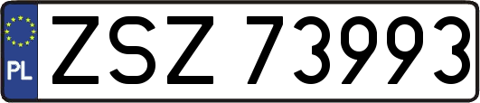 ZSZ73993