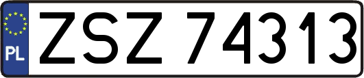 ZSZ74313