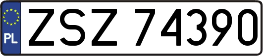 ZSZ74390