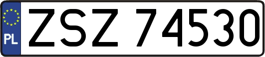 ZSZ74530