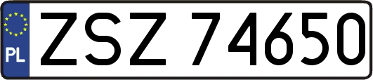 ZSZ74650