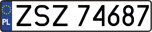 ZSZ74687