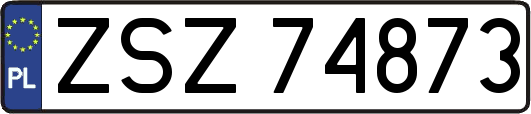 ZSZ74873