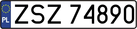 ZSZ74890