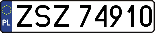 ZSZ74910