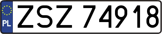 ZSZ74918