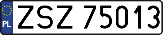 ZSZ75013