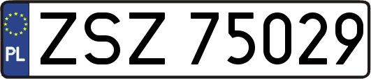 ZSZ75029