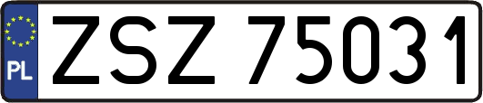ZSZ75031