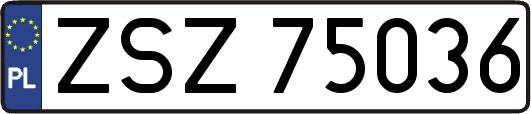 ZSZ75036