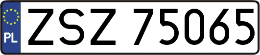 ZSZ75065
