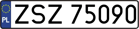 ZSZ75090