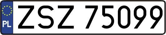 ZSZ75099