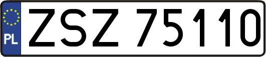 ZSZ75110