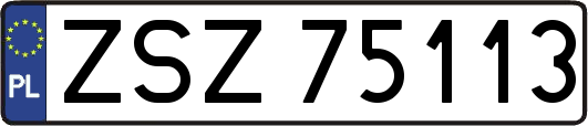 ZSZ75113