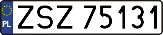 ZSZ75131