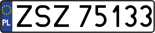 ZSZ75133