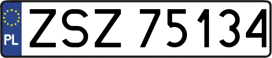 ZSZ75134