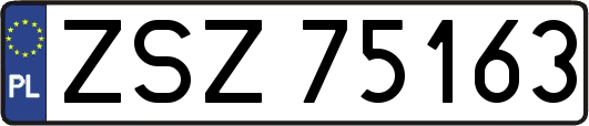 ZSZ75163