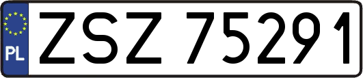 ZSZ75291