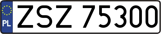 ZSZ75300