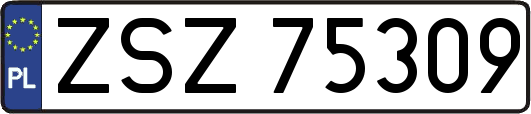 ZSZ75309