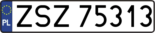 ZSZ75313