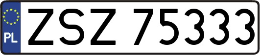 ZSZ75333
