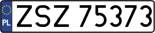 ZSZ75373