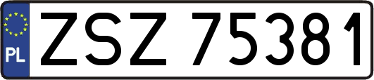 ZSZ75381