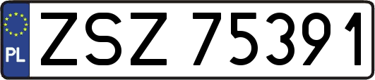 ZSZ75391