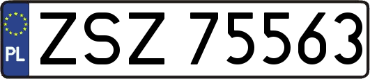 ZSZ75563