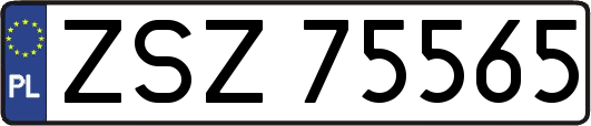 ZSZ75565