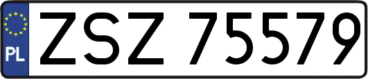 ZSZ75579