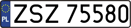 ZSZ75580