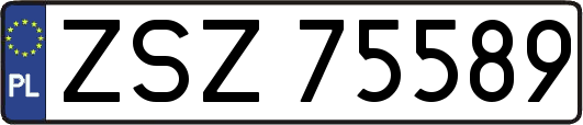 ZSZ75589